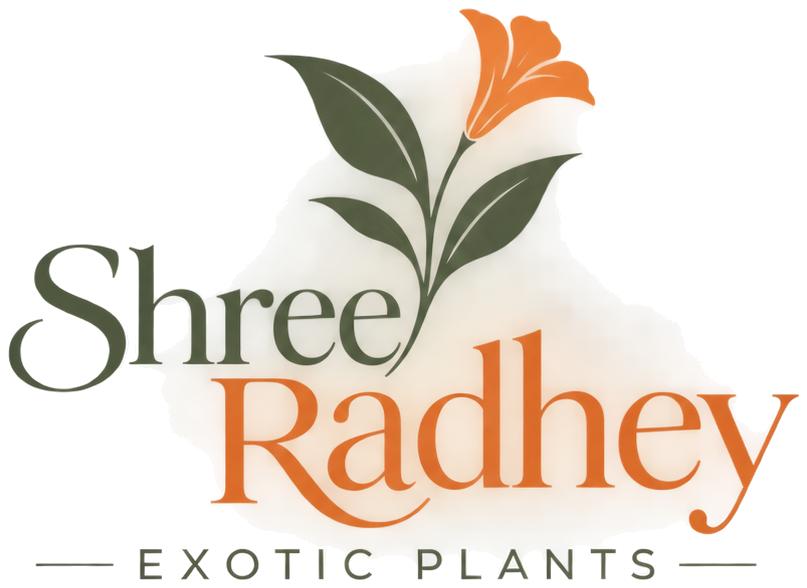 Shree Radhey Exotic Plants